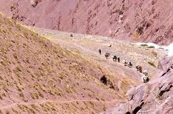 Donkeys along the way required for our expedition